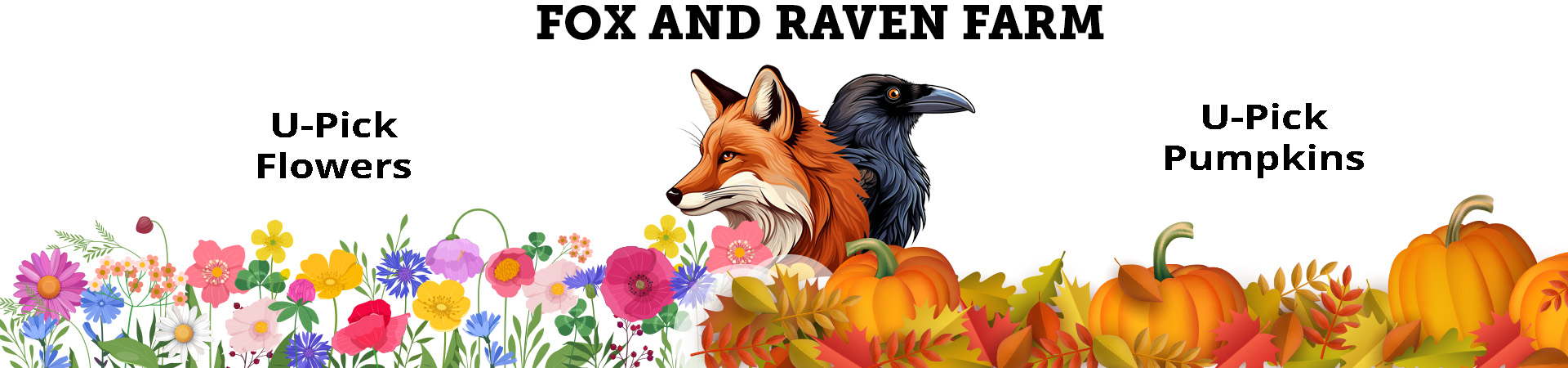 U-pick Flowers and Pumpkins - Fox and Raven Farm