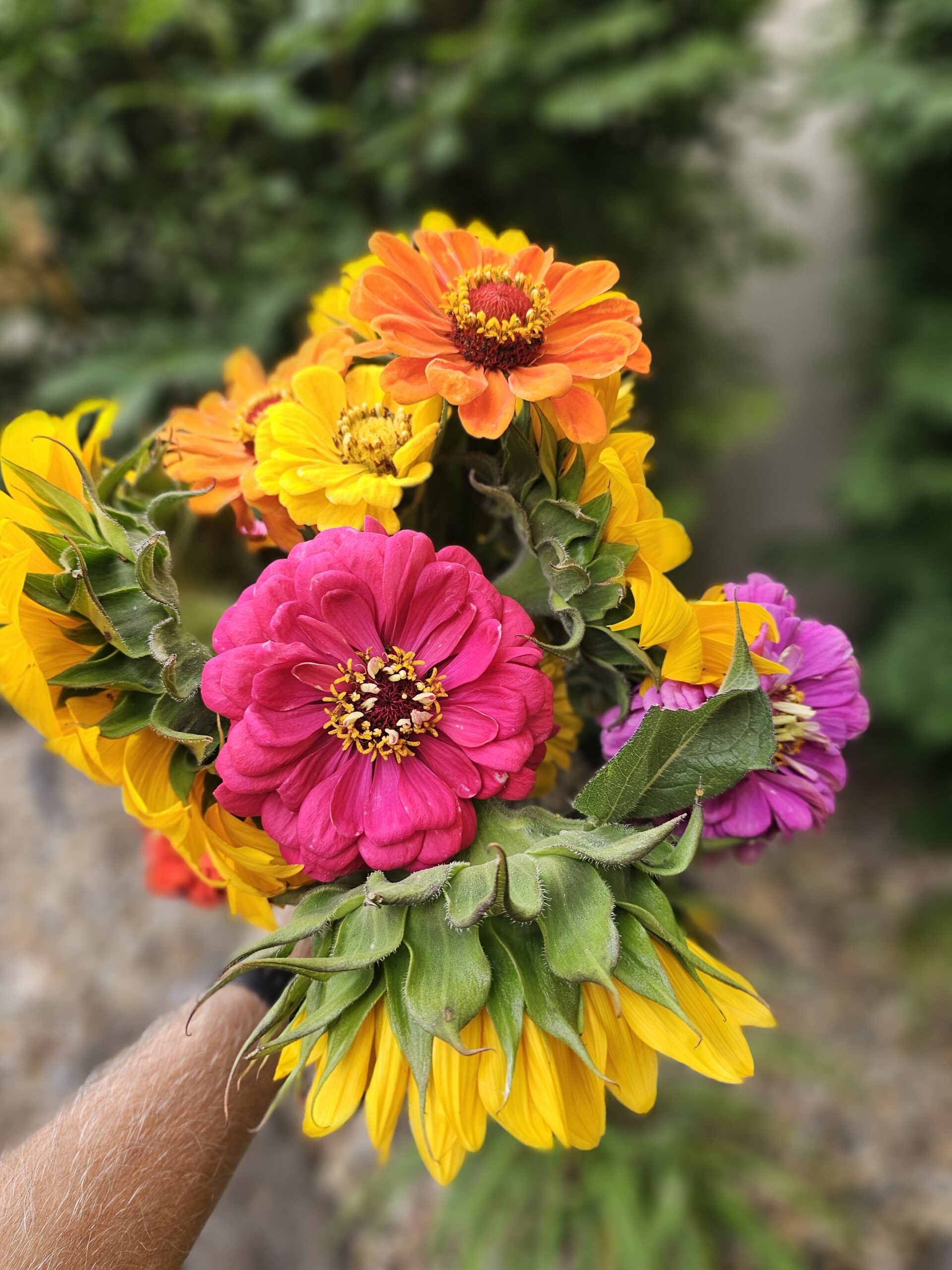 Zinnia and Sunflower Boquete